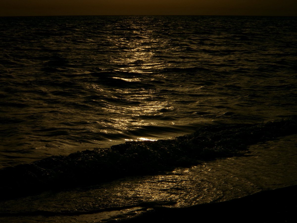 The dying of the light tweet media