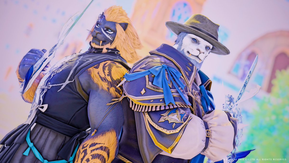 ぬこたんく tweet media