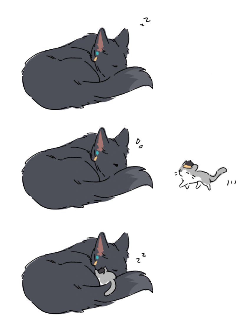 GattoNero7777's tweet image. 我想看这个……
#丹穹 #dancae