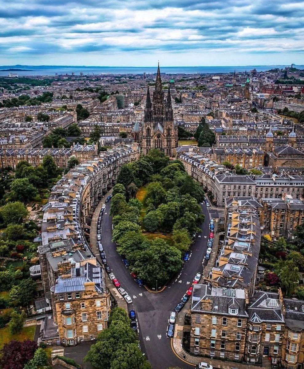 Wildscape Wonders tweet media