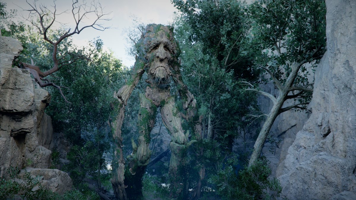 Braideraid tweet media