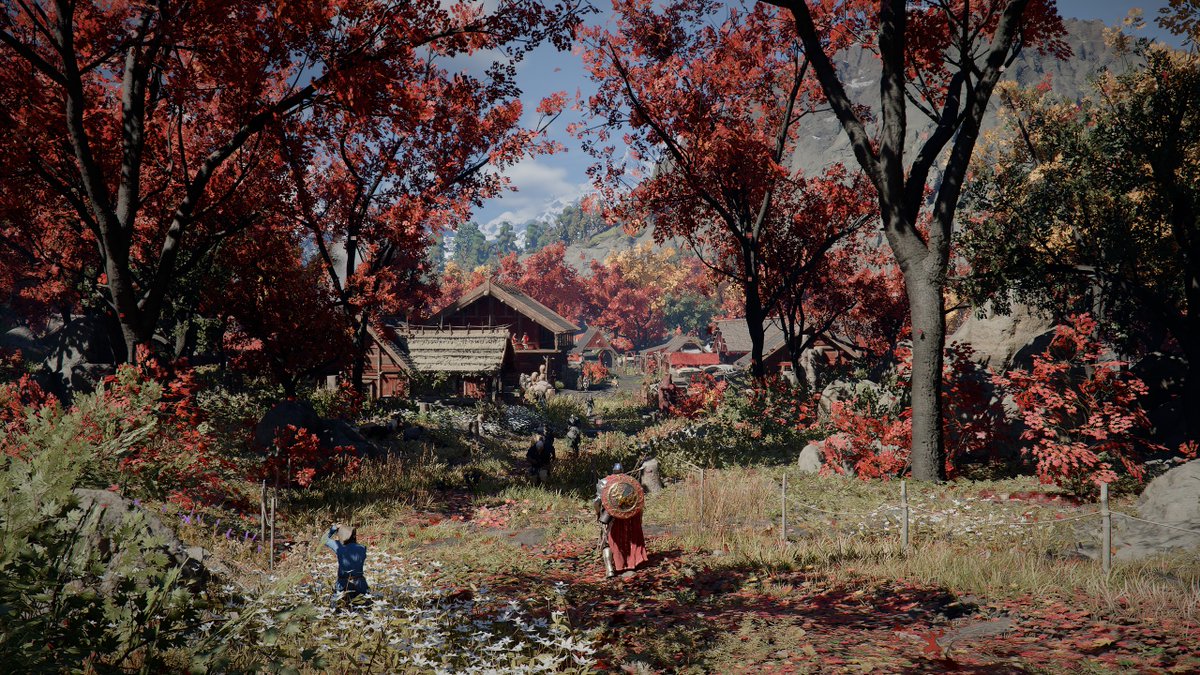 Braideraid tweet media