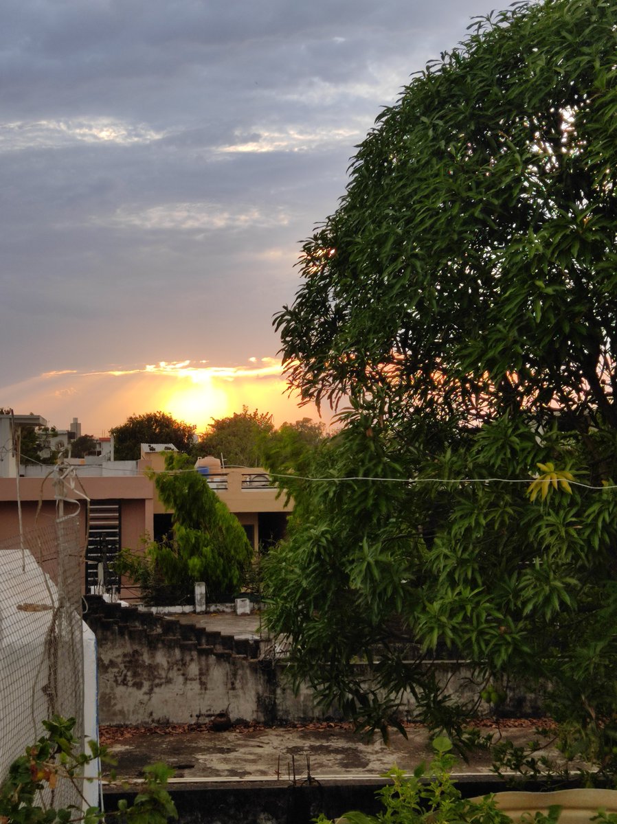 Deeksha Bhimte tweet media