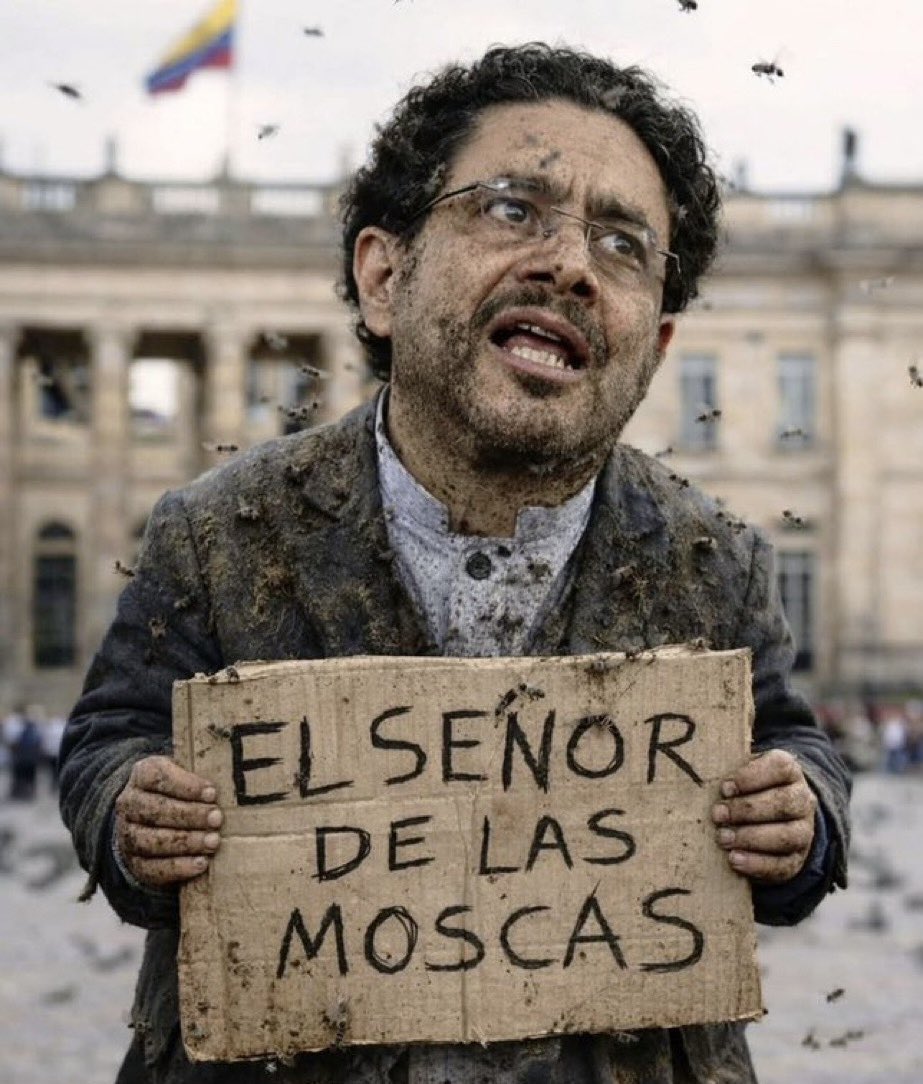 Camila Di Fillipo tweet media