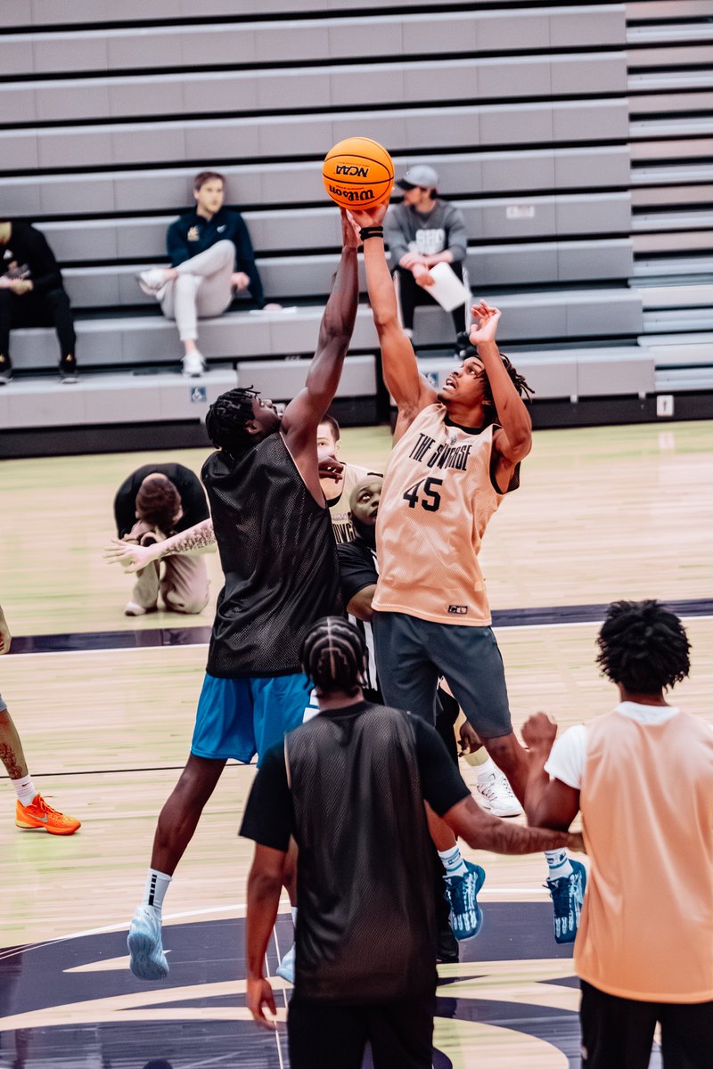 Daniel Siehndel tweet media