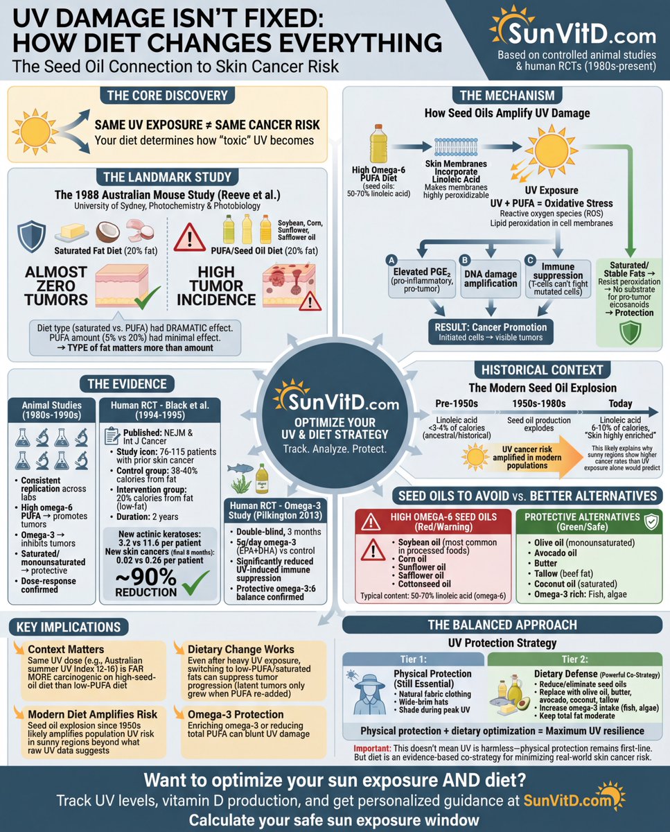 MB_Trening tweet media