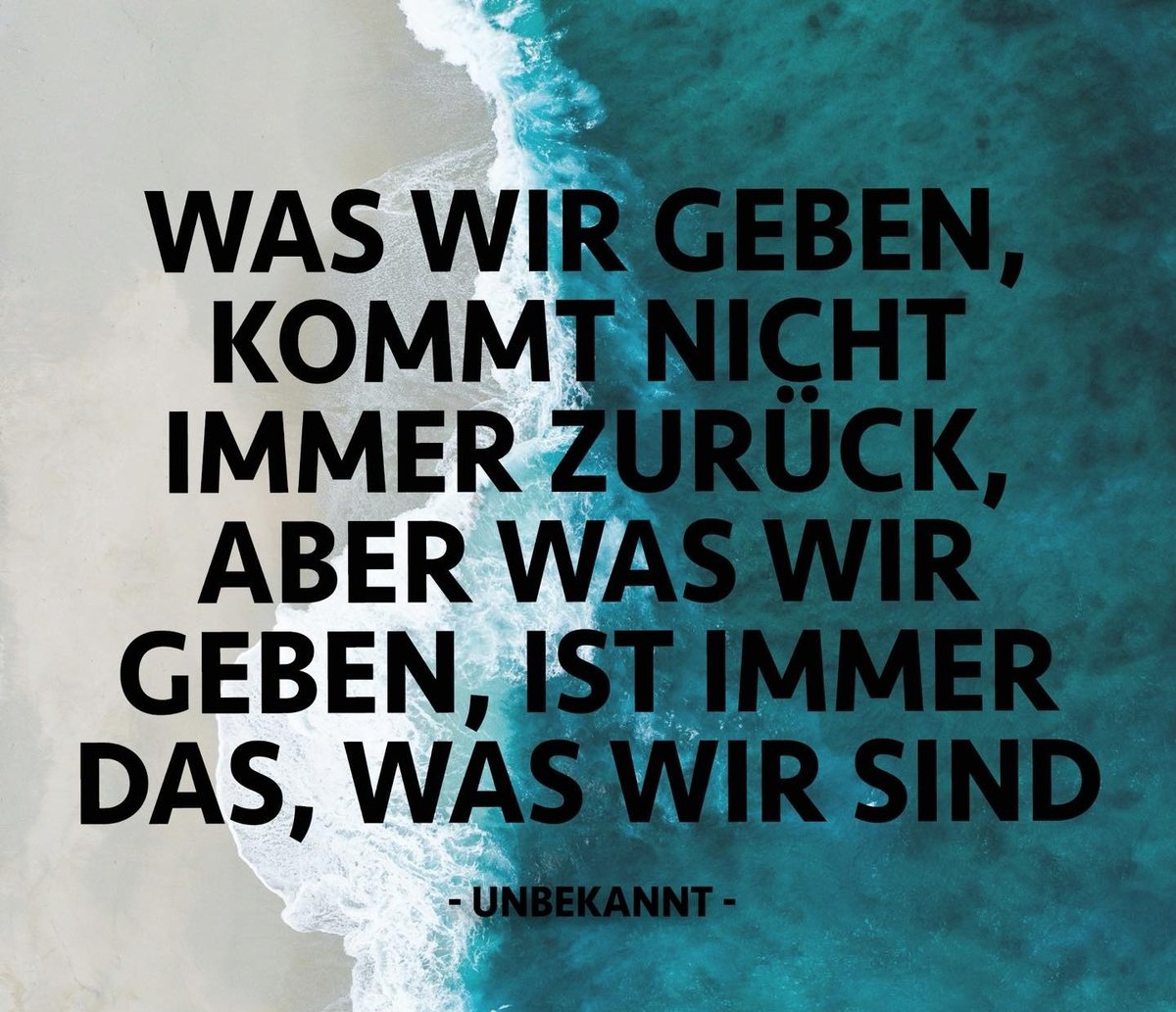 Eukalyptea tweet media