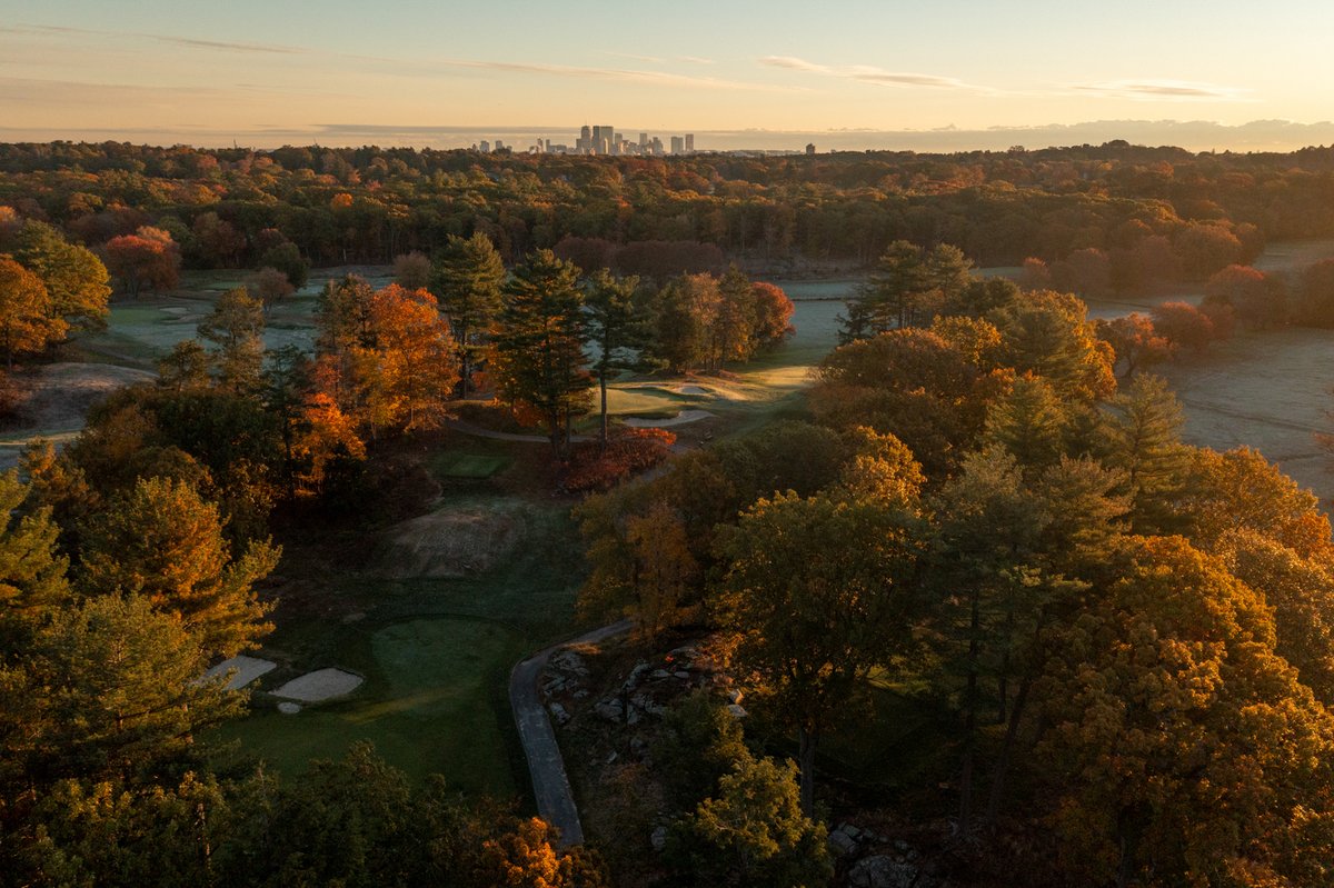 Mass Golf tweet media
