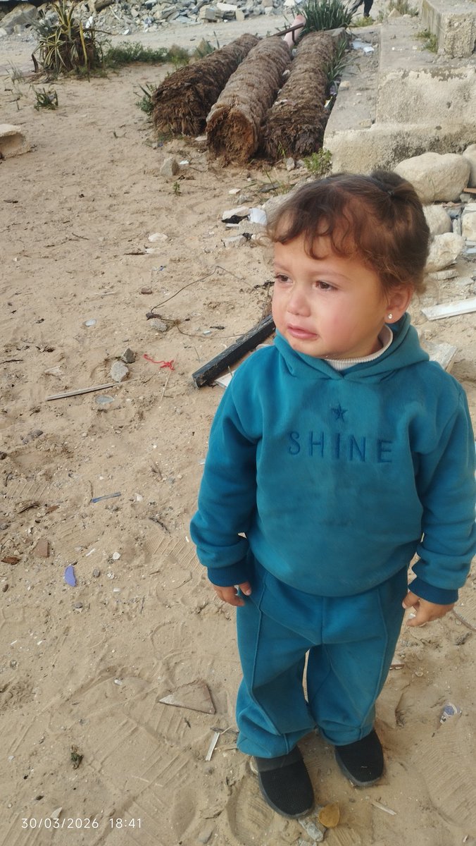 Elana Mohamed Gaza tweet media