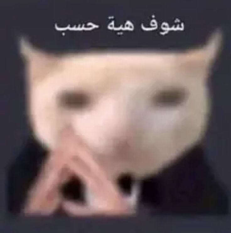 🇮🇶xs5 tweet media