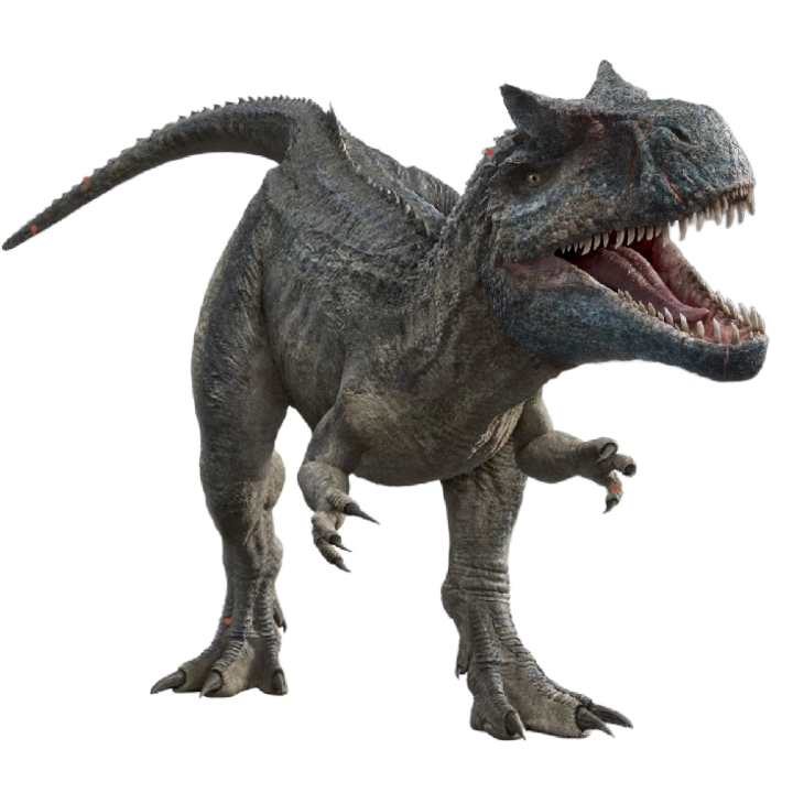 Capitandino tweet media