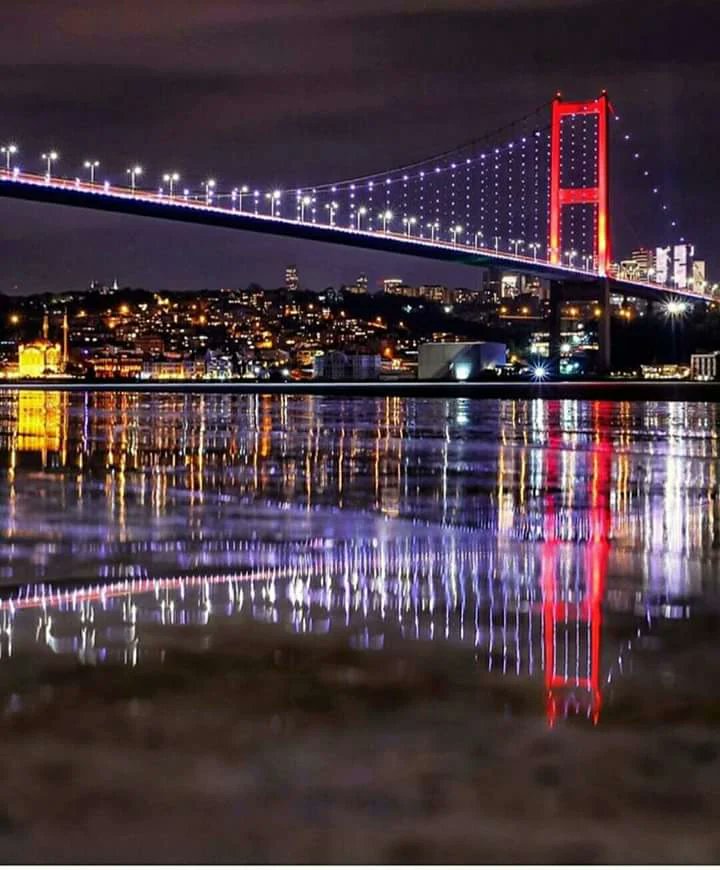 🇹🇷🦅 Fatih 🦅🇹🇷 tweet media