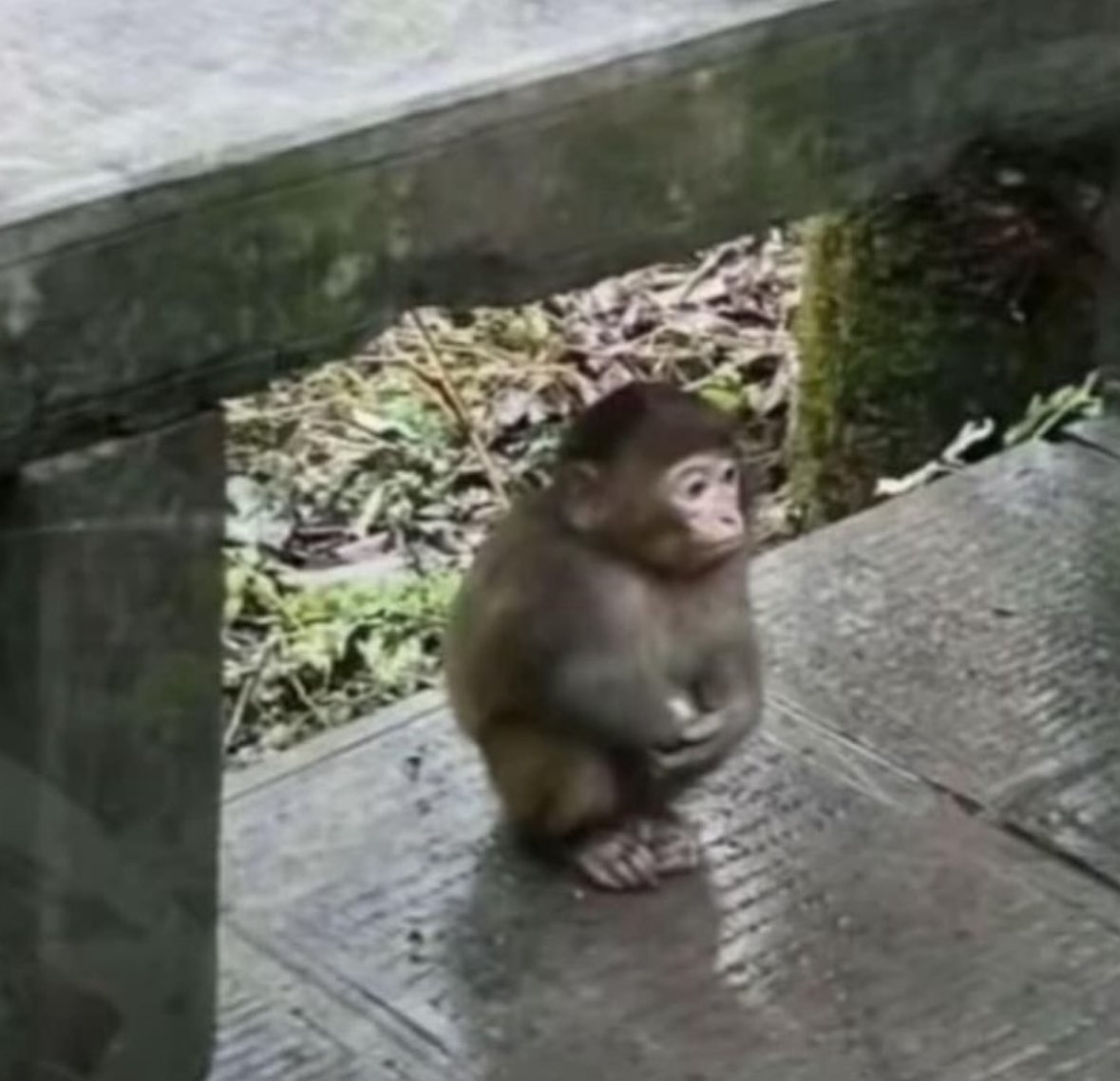 RBB 😈💛 tweet media