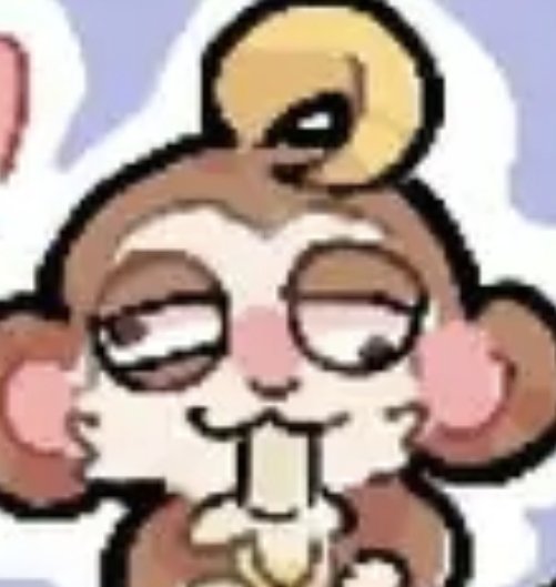 just amo tweet media