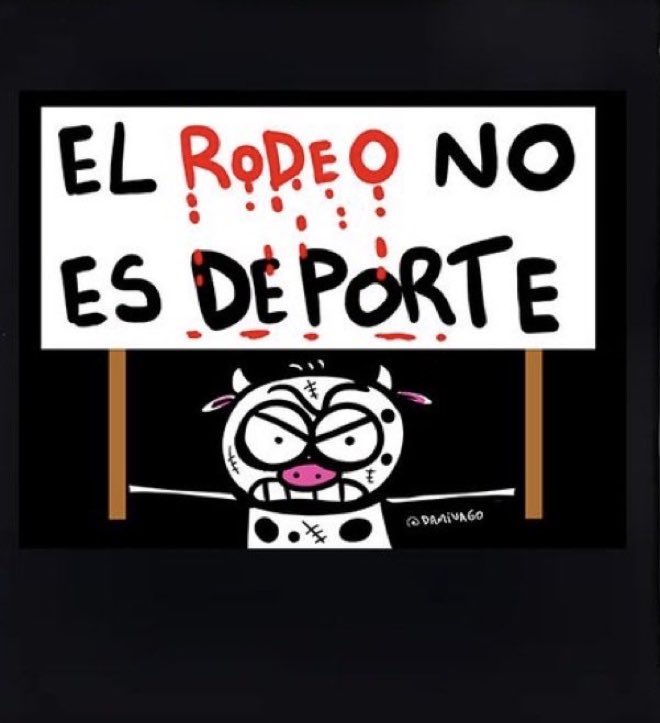Claudia Dides tweet media