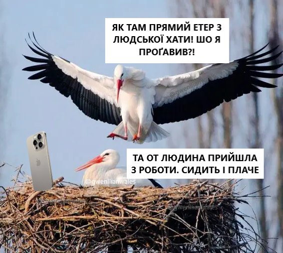 оленка змія tweet media