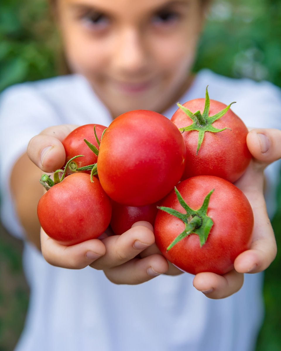 Menlo Park Library tweet media