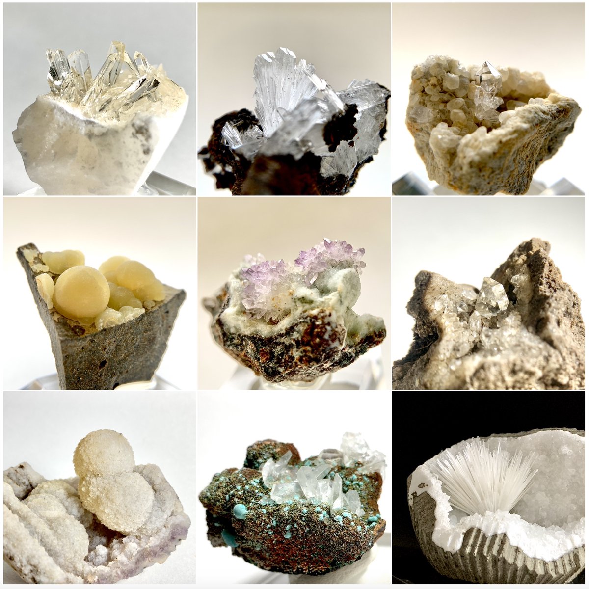 カズホ(ちょっと復活) tweet media