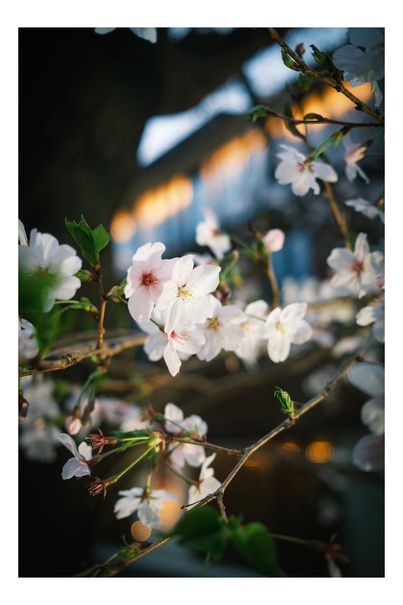 タクヲ tweet media