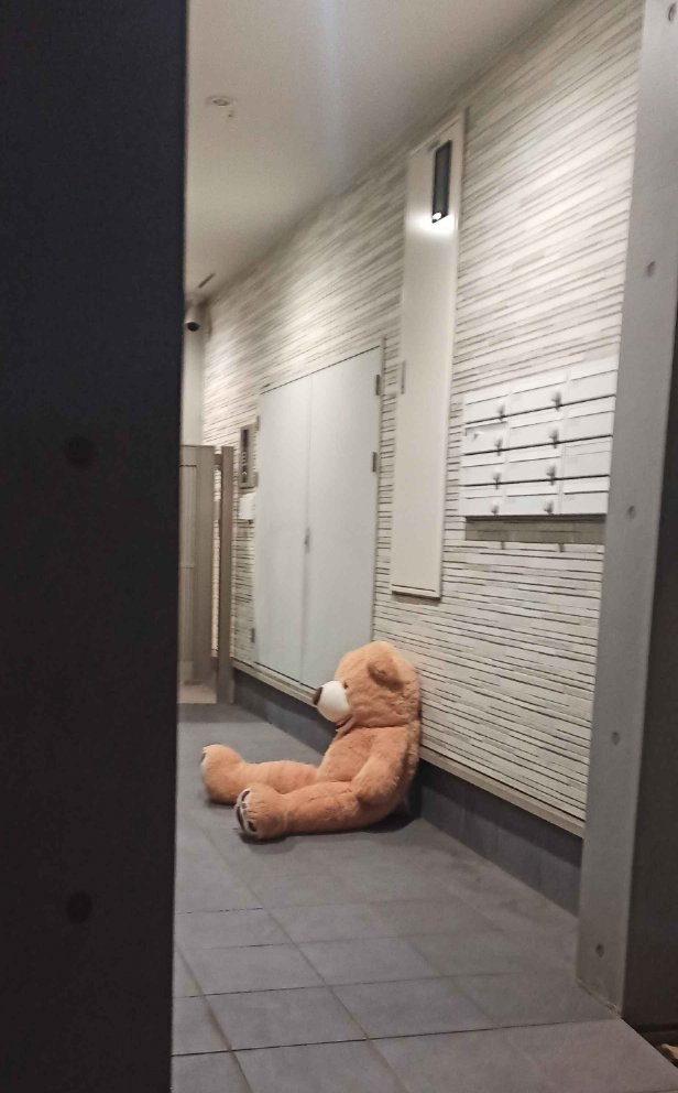 HAM 近況はFANBOX tweet media