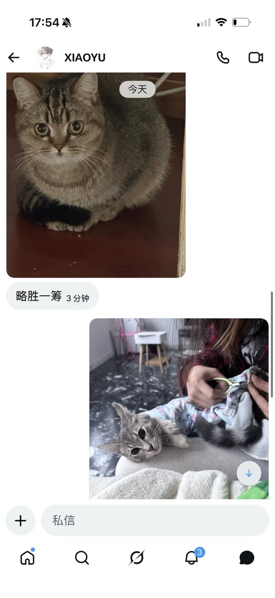 玻璃窗 tweet media