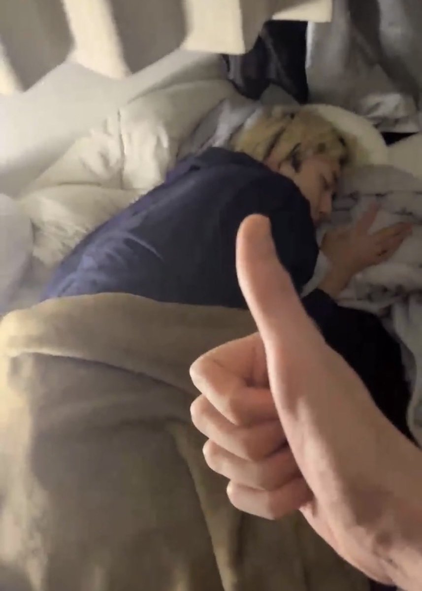 🪼ぷかり tweet media