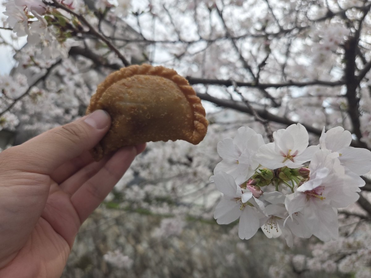 Isamu Kato tweet media