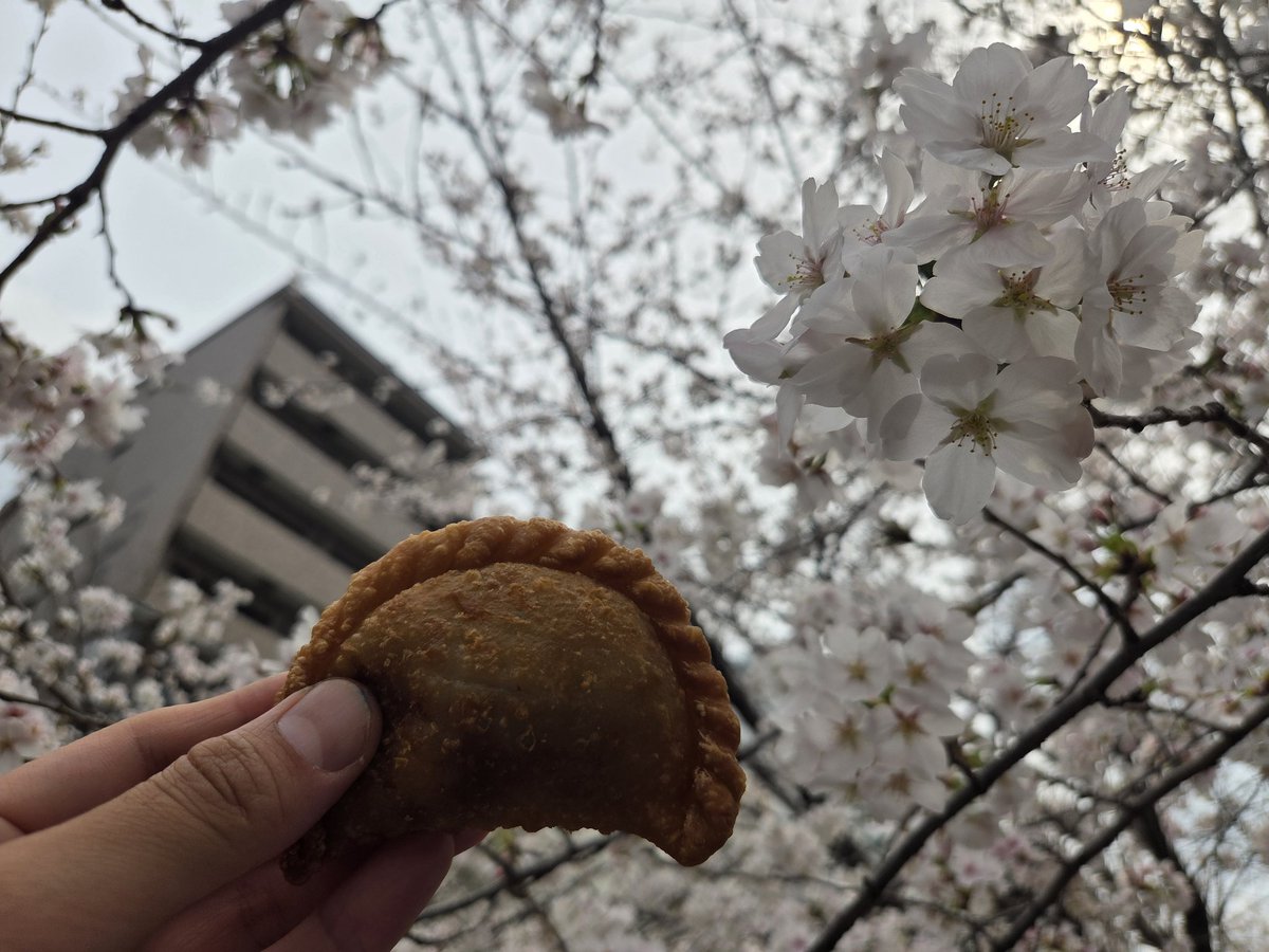 Isamu Kato tweet media