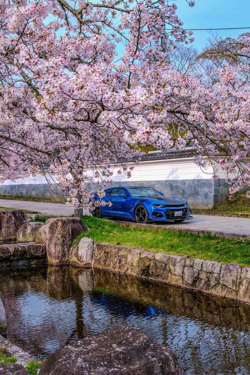 manson1011 tweet media