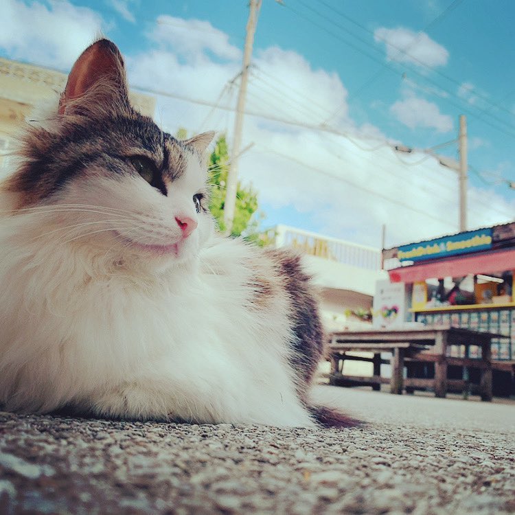 姉太郎@万象森羅founder tweet media