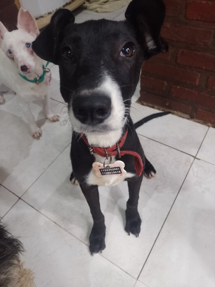 Andydegioia tweet media