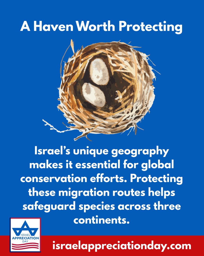 Israel Appreciation Day tweet media