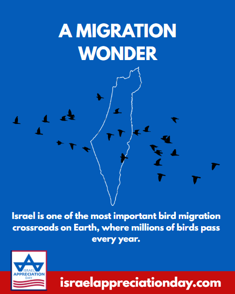 Israel Appreciation Day tweet media