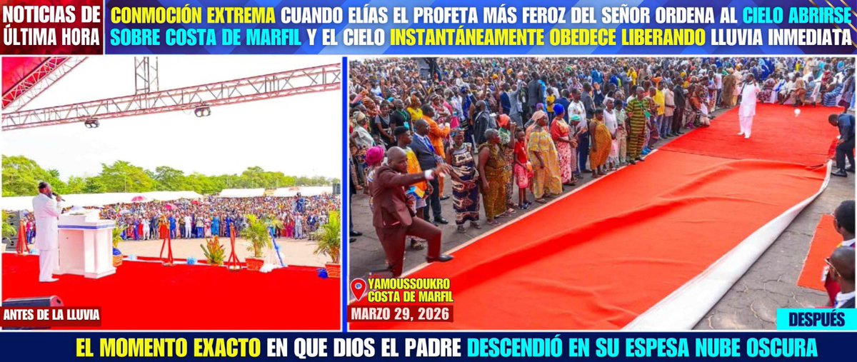 Bishop Natalie Ayer🇻🇪 tweet media