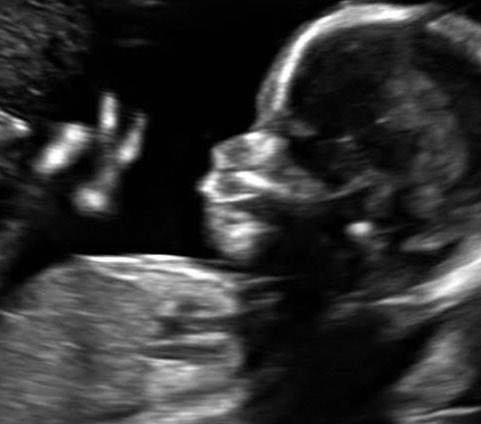 dani 🐾 tweet media