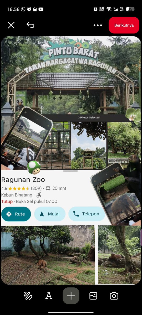 phoalalasoan tweet media