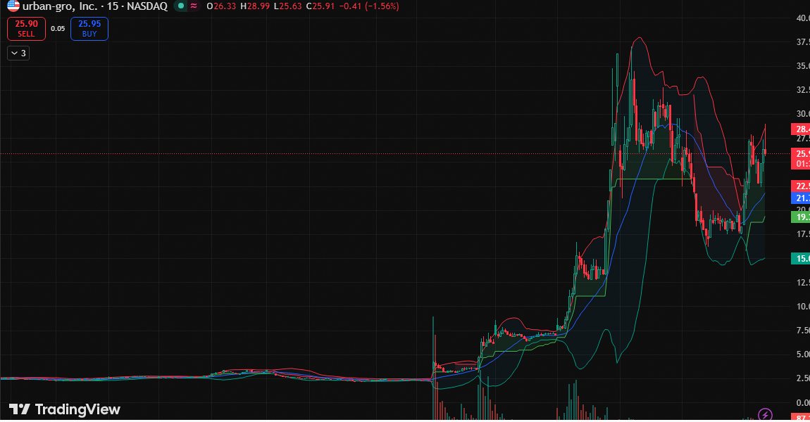 Daniel Morgan ✨ 💯 tweet media