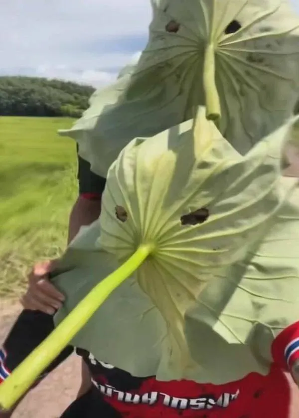 🇨🇦 🇺🇸 HammerTime 🇨🇦 🇺🇸 tweet media