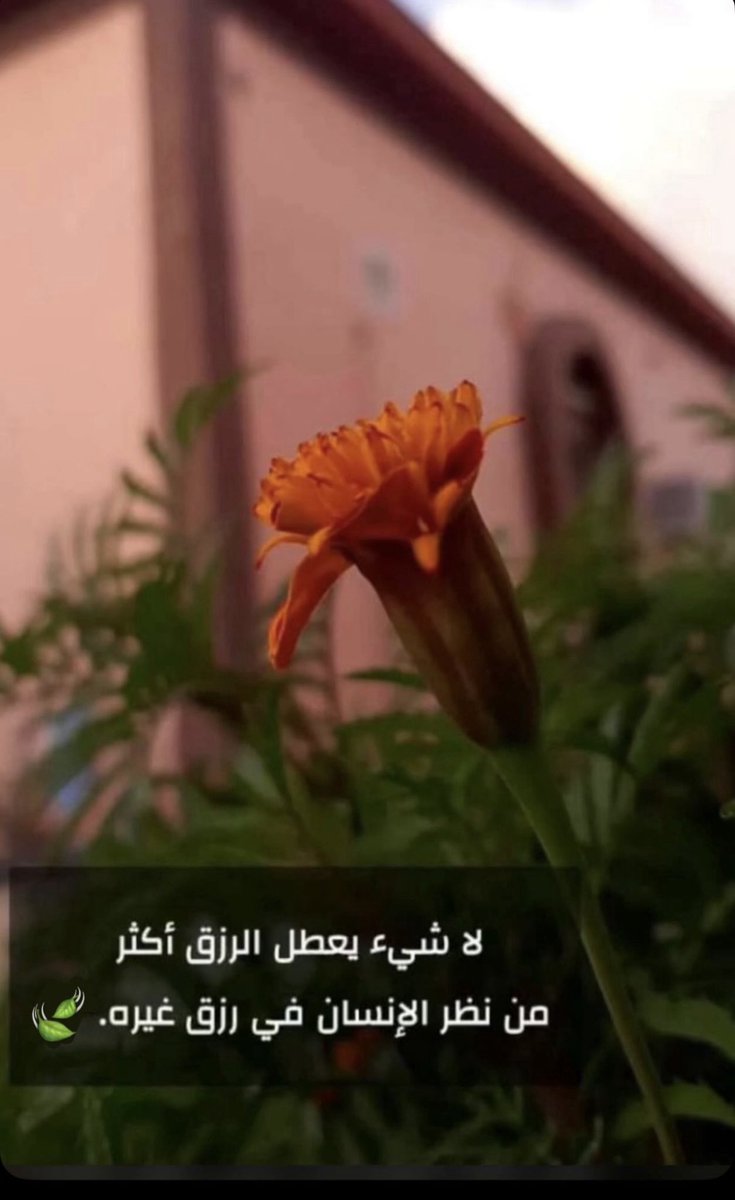 ❁𝑀𝒾𝓈𝓈𝒾𝓃𝑔 𝓂𝓎 𝓅𝒶𝓈𝓉 🥀 tweet media