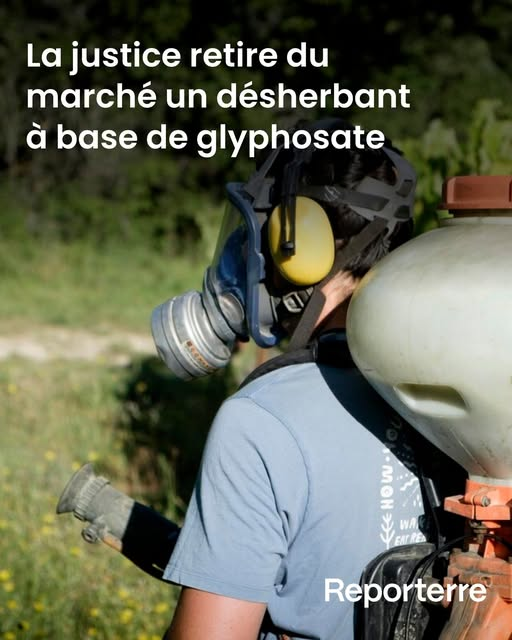 Jacques Renardiere tweet media