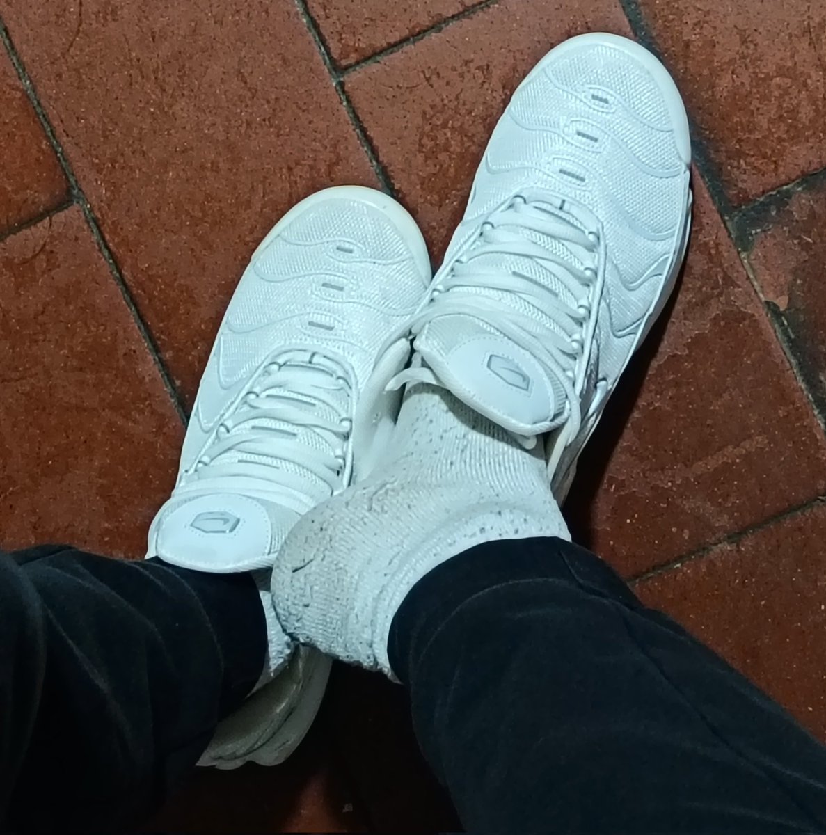 🇮🇹Italian Alpha🇵🇸 tweet media