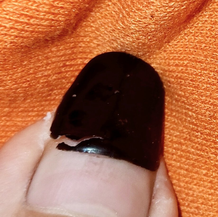 Nuzzle⚡ tweet media