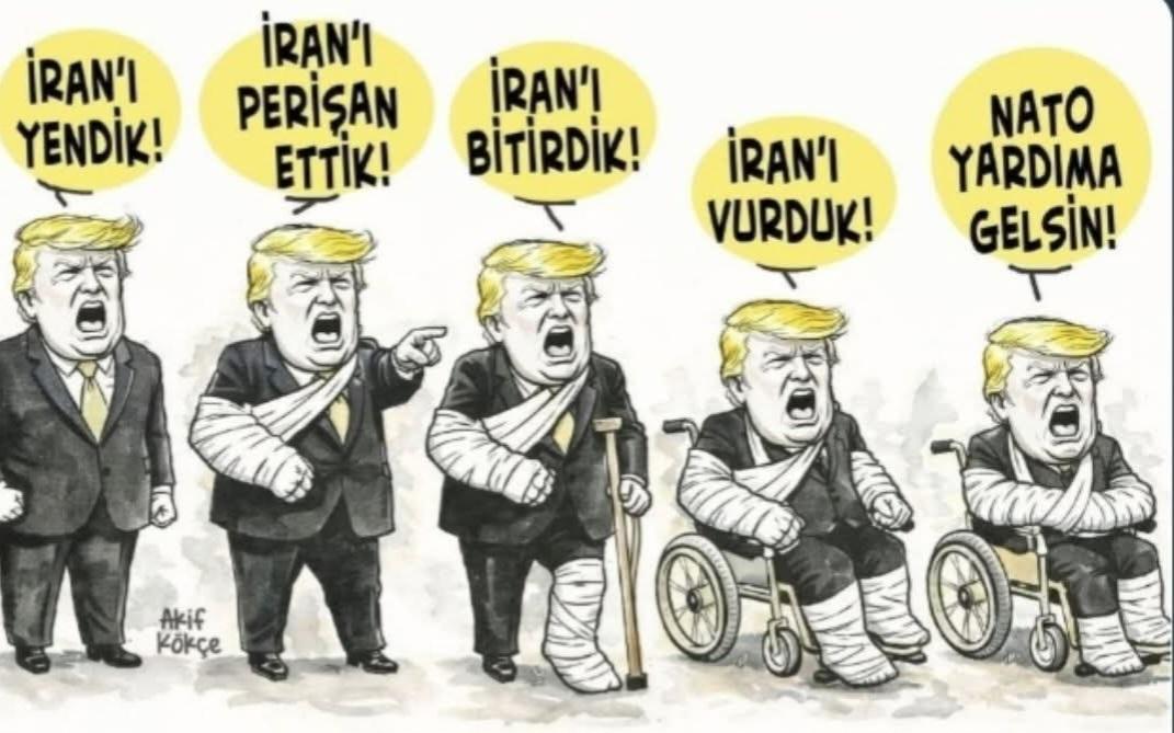 Şahin Bitiş tweet media