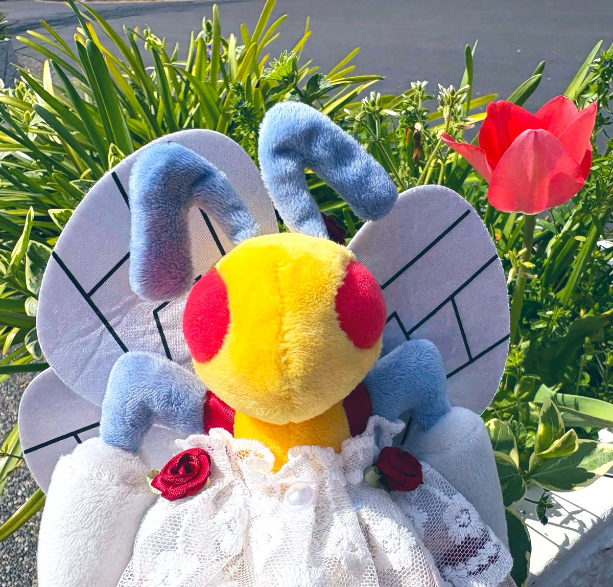 はち🐝🍯ぬい活初心者🔰 tweet media