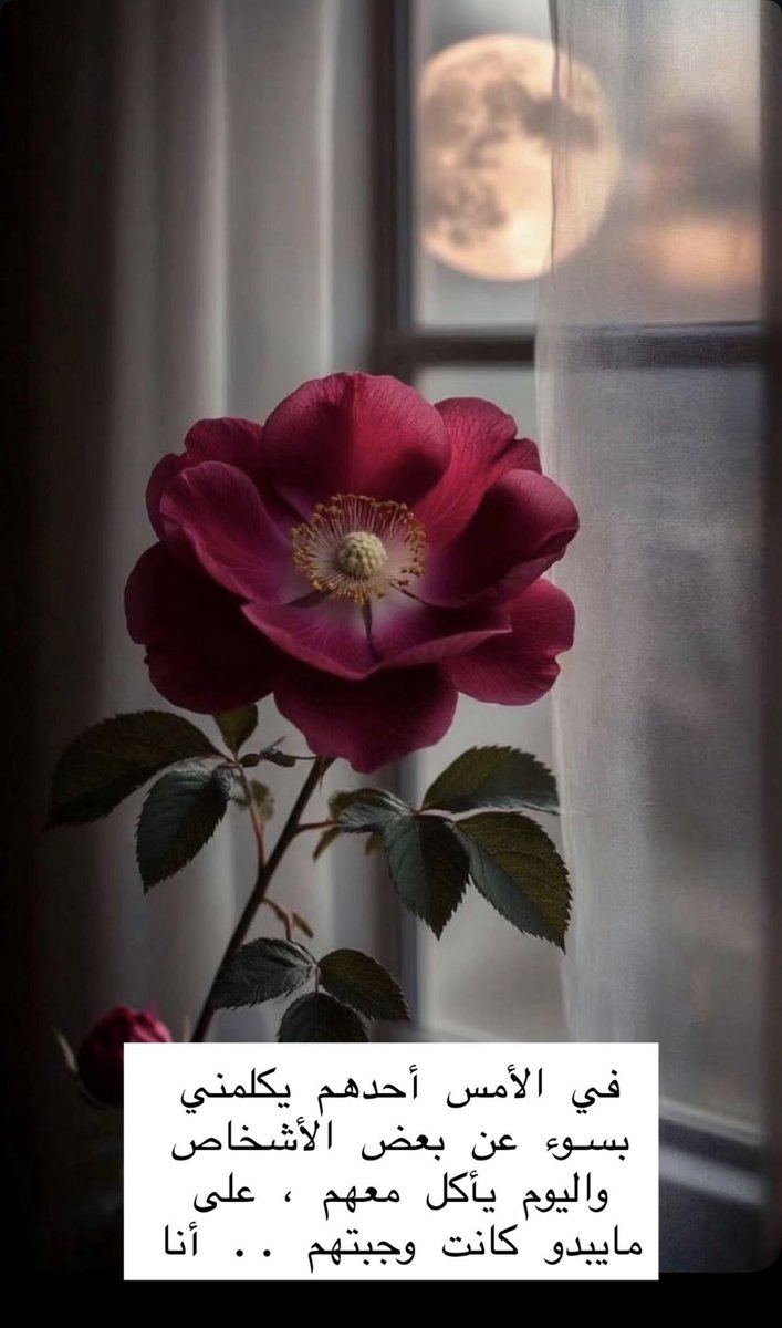 ❁𝑀𝒾𝓈𝓈𝒾𝓃𝑔 𝓂𝓎 𝓅𝒶𝓈𝓉 🥀 tweet media