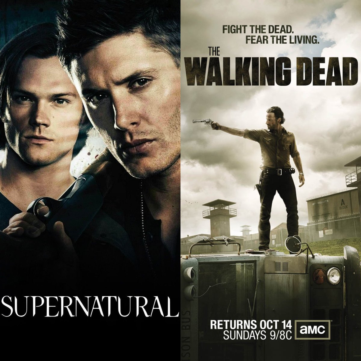 𝙱𝙴 𝙰𝙵𝚁𝙰𝙸𝙳 tweet media