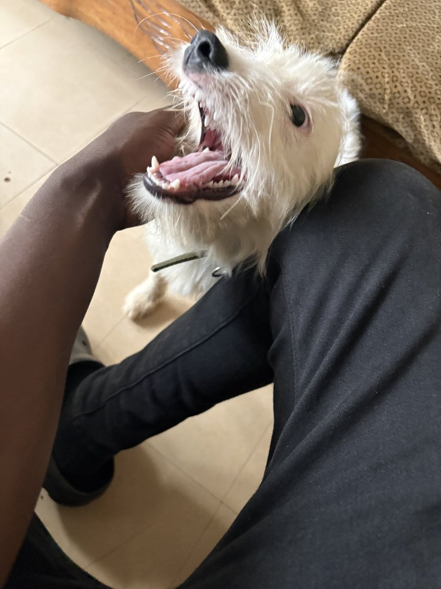 THE TUNDRA GUY tweet media