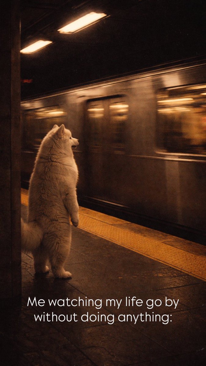 Trasportino2.0 tweet media