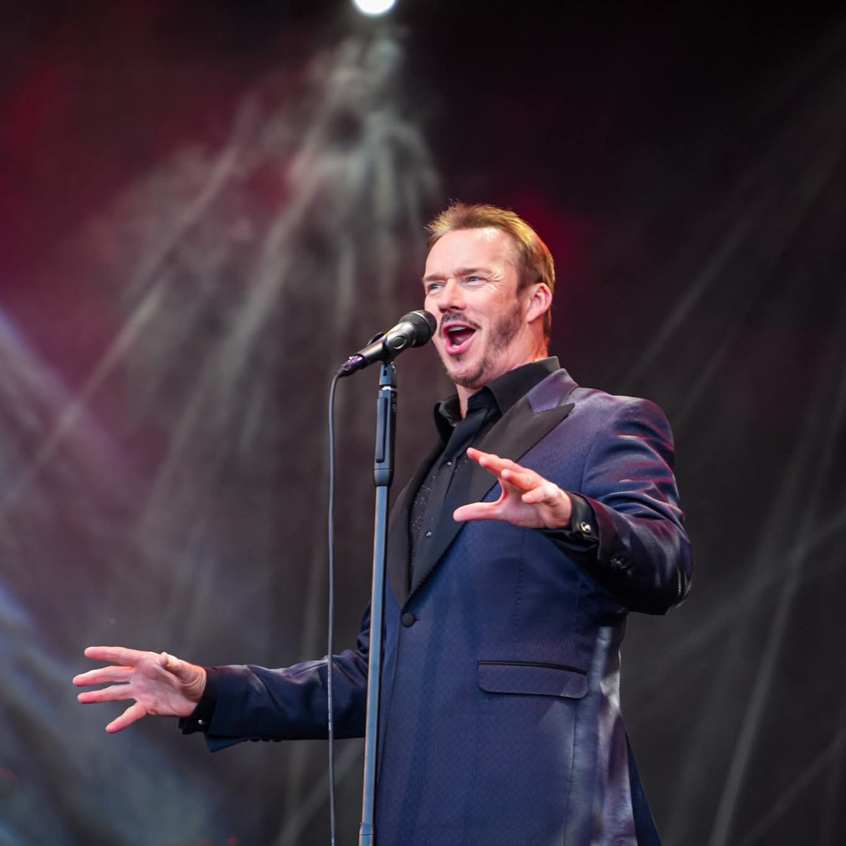 SD Entertainment tweet media