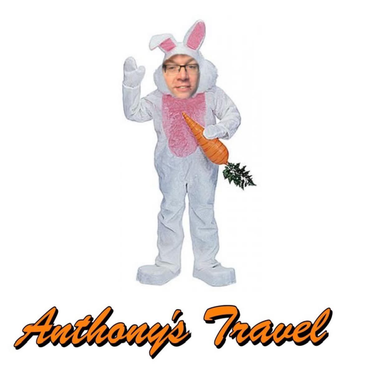 ANTHONYS TRAVEL tweet media